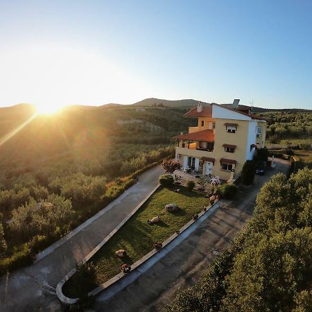 Big Summer House Halkidiki Psakoudia Exterior foto