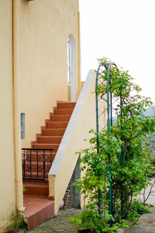 Big Summer House Halkidiki Psakoudia Exterior foto